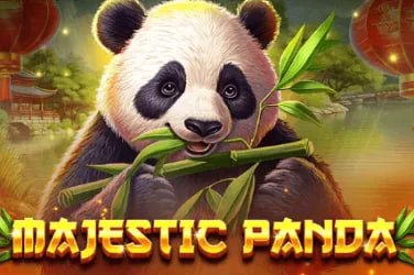 Visual keamanan digital dan perlindungan data saat menggunakan sikat88